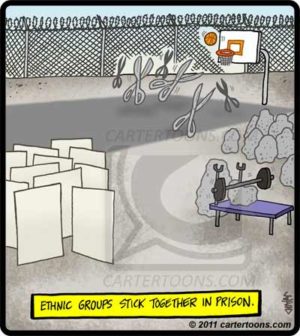 Ethnic Prison Groups