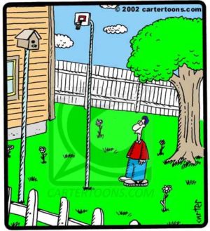 Bird Goal