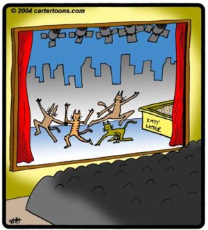 Kitty Litter Musical