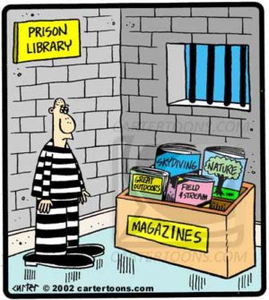 Prison Library Magazines