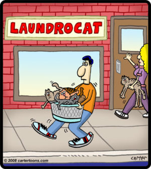 Laundrocat