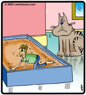 Litter Box Guy