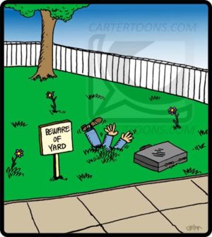 Beware Of Yard