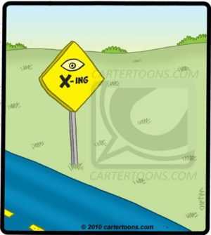 Eye X-ing
