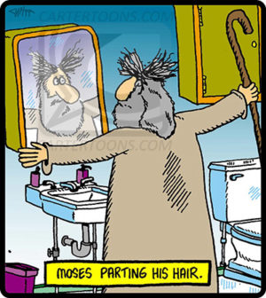 Moses Hair