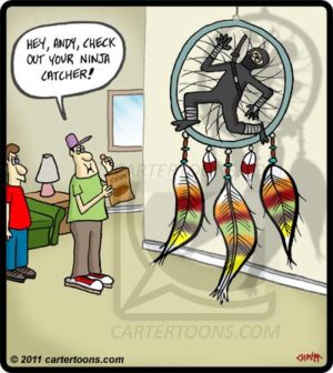 Ninja Catcher