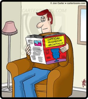 Optical Illusion Reader