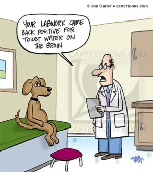 Toilet Water On The Brain