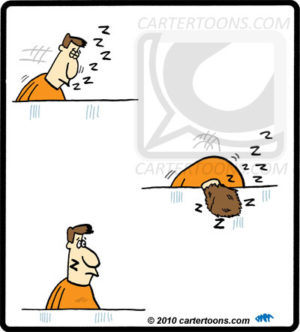 Zzz Face