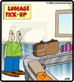 Conjoined Luggage