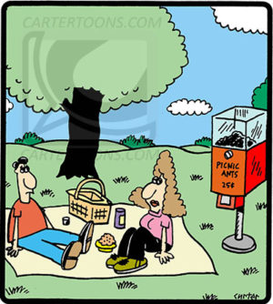 Vending Machine Picnic Ants