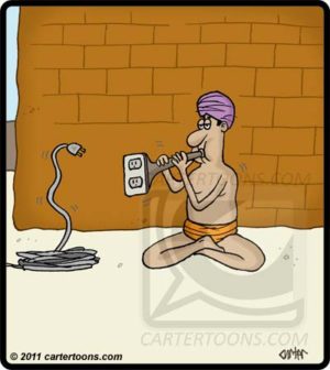 Outlet Snake Charmer