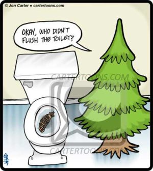 Pine Cone Poop