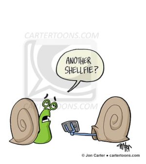 Snail Shellfie