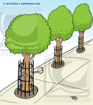 Tree With Prison Mirror