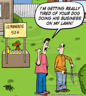 Dirty Dog Business