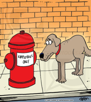 Canine Employees Only