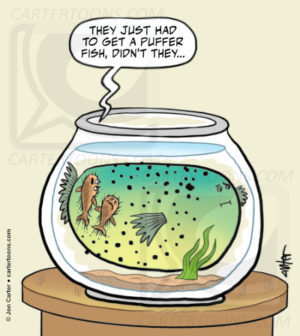 Puffer Fish Blues