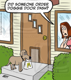 Doggie Door Dash