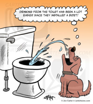 Dog Toilet Bidet Drinking