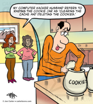 Deleting The Cookies