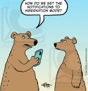 Hibernation Phone Mode